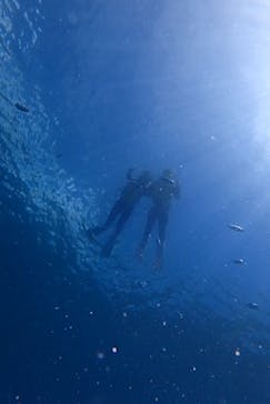 diving&workshop IHANASHI（ダイビングアンドワークショップイハナシ）に投稿された画像（2019/6/30）