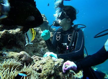 青の洞窟専門店　沖縄ダイビングショップ和に投稿された画像（2019/6/30）