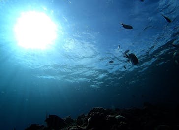 青の洞窟専門店　沖縄ダイビングショップ和に投稿された画像（2019/6/30）