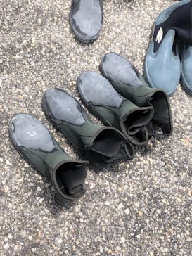 武藤潜水に投稿された画像（2019/7/1）