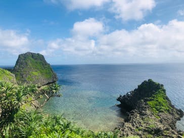 武藤潜水に投稿された画像（2019/7/1）