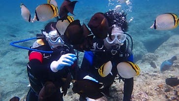 diving&workshop IHANASHI（ダイビングアンドワークショップイハナシ）に投稿された画像（2019/7/2）