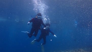 diving&workshop IHANASHI（ダイビングアンドワークショップイハナシ）に投稿された画像（2019/7/2）