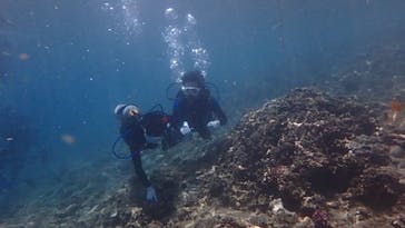 diving&workshop IHANASHI（ダイビングアンドワークショップイハナシ）に投稿された画像（2019/7/2）