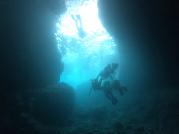 武藤潜水に投稿された画像（2019/7/2）