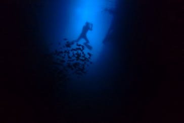 diving&workshop IHANASHI（ダイビングアンドワークショップイハナシ）に投稿された画像（2019/7/2）