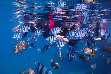 diving&workshop IHANASHI（ダイビングアンドワークショップイハナシ）に投稿された画像（2019/7/2）