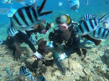 武藤潜水に投稿された画像（2019/7/2）
