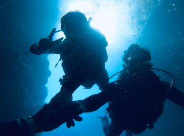 武藤潜水に投稿された画像（2019/7/2）