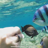 武藤潜水に投稿された画像（2019/7/3）