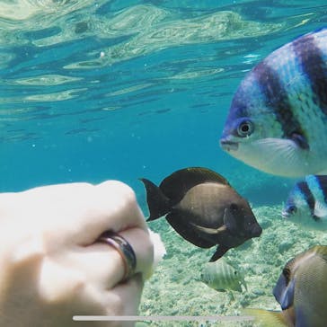 武藤潜水に投稿された画像（2019/7/2）