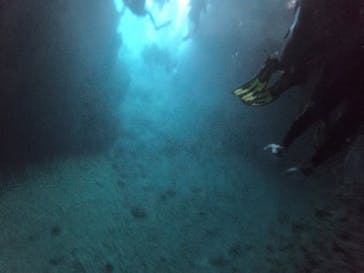 武藤潜水に投稿された画像（2019/7/3）