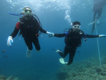 diving&workshop IHANASHI（ダイビングアンドワークショップイハナシ）に投稿された画像（2019/7/3）