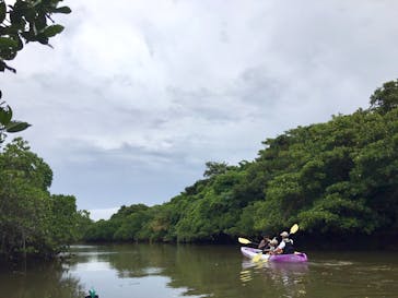 CHOROに投稿された画像（2019/7/4）