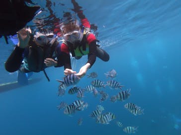 diving&workshop IHANASHI（ダイビングアンドワークショップイハナシ）に投稿された画像（2019/7/5）