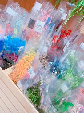 ずこうしつ〜sugamo〜に投稿された画像（2019/7/5）