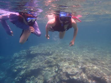 石垣島 ADVENTURE PiPi（イシガキジマアドベンチャーピピ）に投稿された画像（2019/7/6）