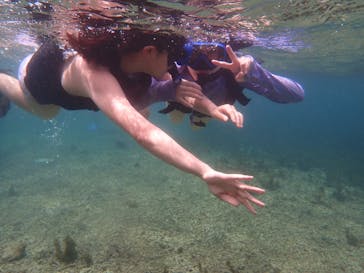 石垣島 ADVENTURE PiPi（イシガキジマアドベンチャーピピ）に投稿された画像（2019/7/6）