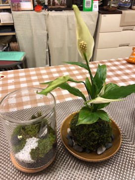 カルチャースクールいろはに投稿された画像（2019/7/6）