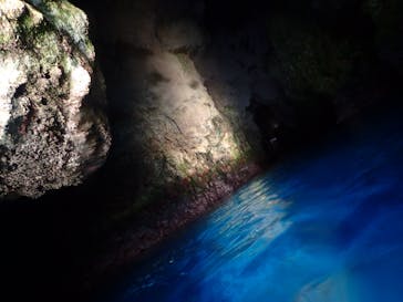 ダイビングショップ Sea Free（シーフリー）に投稿された画像（2019/7/6）