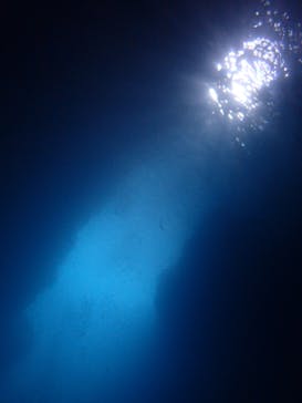 ダイビングショップ Sea Free（シーフリー）に投稿された画像（2019/7/6）