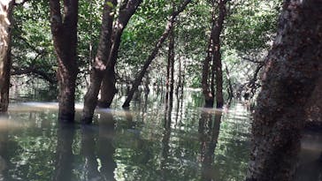 CHOROに投稿された画像（2019/7/7）