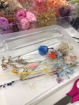 ずこうしつ〜sugamo〜に投稿された画像（2019/7/7）