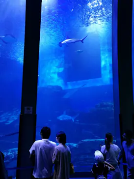 横浜・八景島シーパラダイスに投稿された画像（2019/7/7）