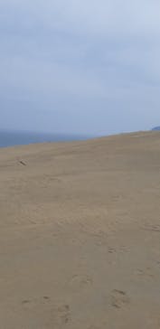 鳥取砂丘パラグライダー体験スクール（砂丘本舗）に投稿された画像（2019/7/7）