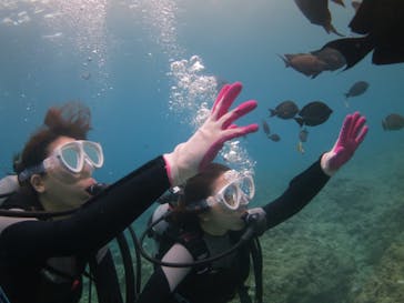 ドロップイン 沖縄に投稿された画像（2019/7/7）