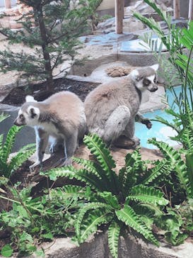 NIFREL（ニフレル）に投稿された画像（2019/7/7）