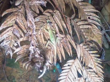 石垣島 ADVENTURE PiPi（イシガキジマアドベンチャーピピ）に投稿された画像（2019/7/8）