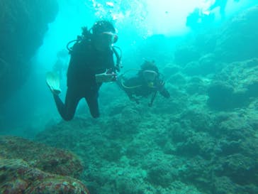 武藤潜水に投稿された画像（2019/7/8）