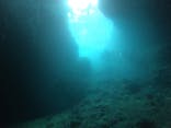 武藤潜水に投稿された画像（2019/7/8）