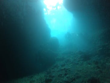 武藤潜水に投稿された画像（2019/7/8）