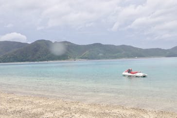 奄美ナイトツアーサービスに投稿された画像（2019/7/8）