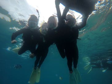 武藤潜水に投稿された画像（2019/7/9）