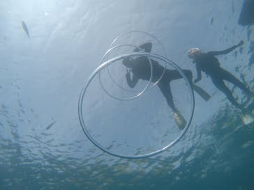 武藤潜水に投稿された画像（2019/7/11）