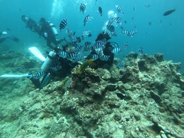 武藤潜水に投稿された画像（2019/7/11）