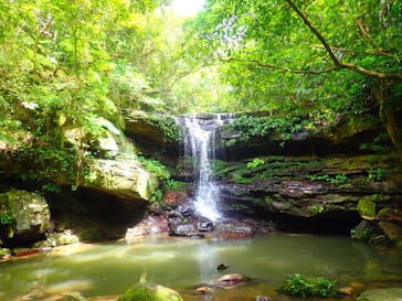 石垣島 ADVENTURE PiPi（イシガキジマアドベンチャーピピ）に投稿された画像（2019/7/11）