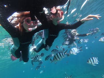 武藤潜水に投稿された画像（2019/7/12）