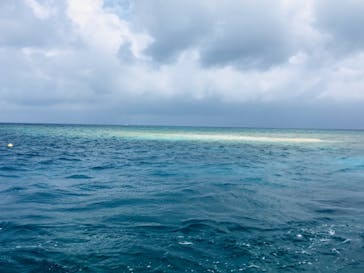 石垣島 ADVENTURE PiPi（イシガキジマアドベンチャーピピ）に投稿された画像（2019/7/12）