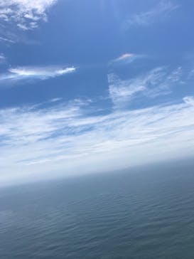 松島熱気球・パラグライダー体験に投稿された画像（2019/7/13）