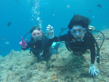 武藤潜水に投稿された画像（2019/7/13）