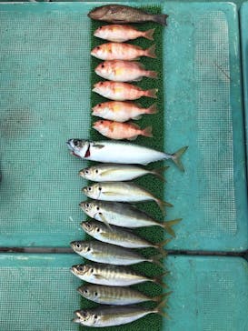 SUNNY FISHING（サニーフィッシング）に投稿された画像（2019/7/13）