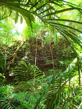 石垣島 ADVENTURE PiPi（イシガキジマアドベンチャーピピ）に投稿された画像（2019/7/13）