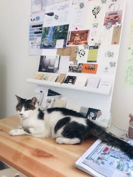 Tickleglass（ティクルグラス）に投稿された画像（2019/7/13）