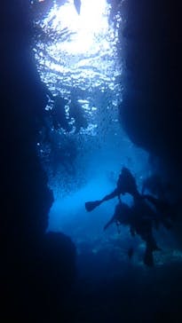 diving&workshop IHANASHI（ダイビングアンドワークショップイハナシ）に投稿された画像（2019/7/14）