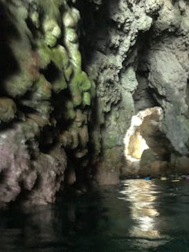 武藤潜水に投稿された画像（2019/7/14）