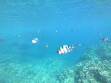 武藤潜水に投稿された画像（2019/7/14）